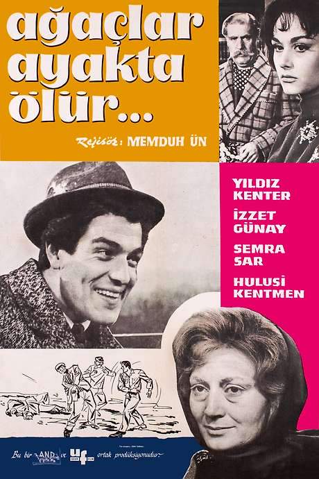 Ağaçlar Ayakta Ölür (1964) movie poster