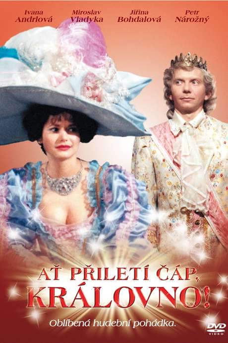 Ať přiletí čáp, královno! (1989) movie poster