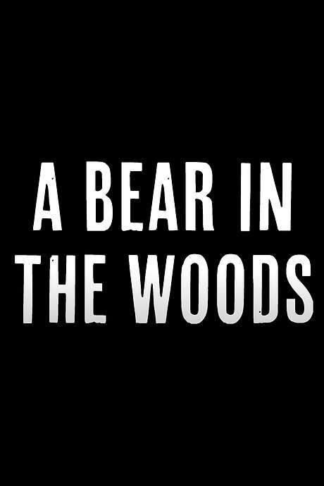 A Bear in the Woods (2024) movie poster