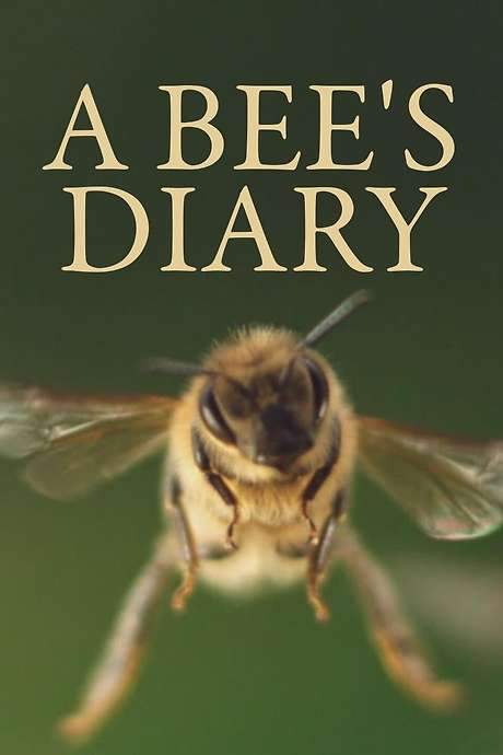 A Bee’s Diary (2020) movie poster