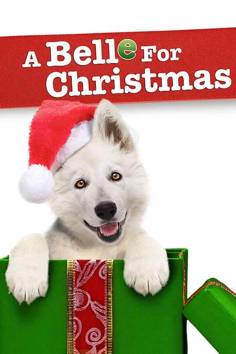 A Belle for Christmas (2014) movie poster