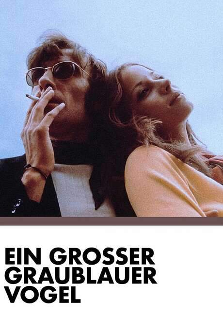 A Big Grey-Blue Bird (1970) movie poster