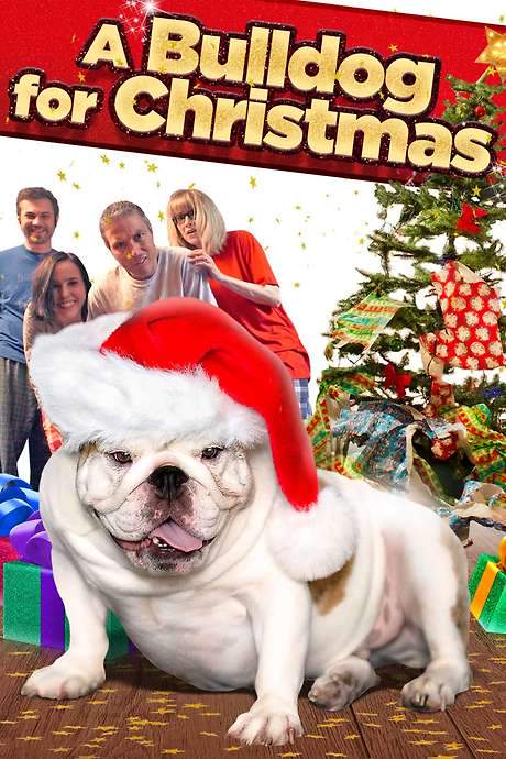 A Bulldog for Christmas (2013) movie poster