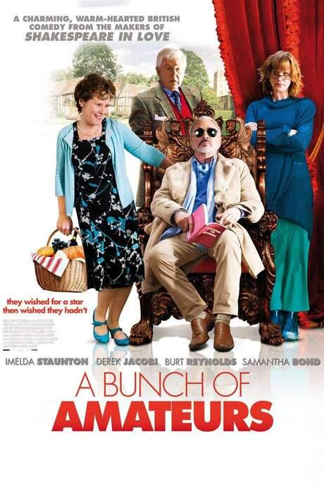 A Bunch of Amateurs (2008) movie poster