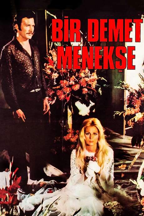 A Bunch of Violets (1973) movie poster
