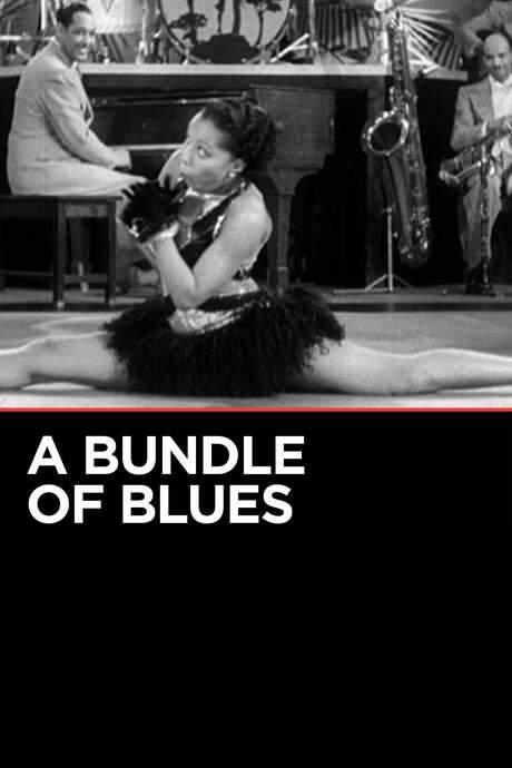 A Bundle of Blues (1933) movie poster