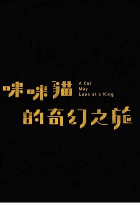 A Cat May Look at a King (2020) movie poster