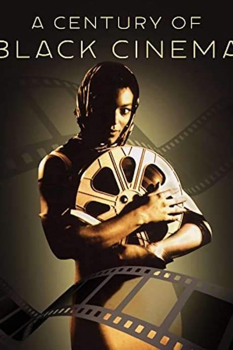 A Century of Black Cinema (2003) movie poster
