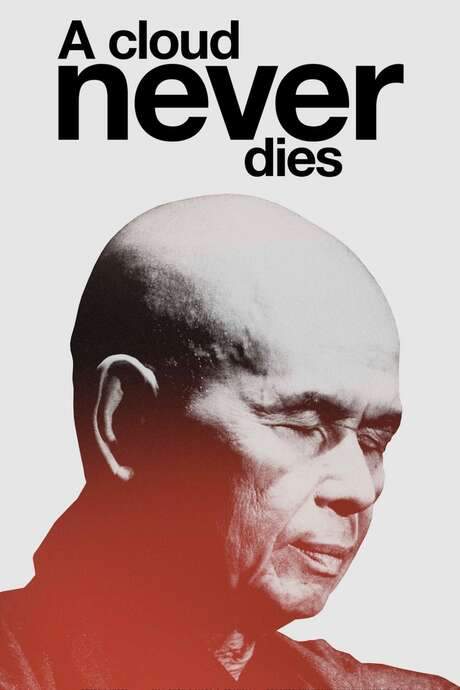 A Cloud Never Dies (2022) movie poster