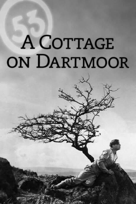 A Cottage on Dartmoor (1929) movie poster