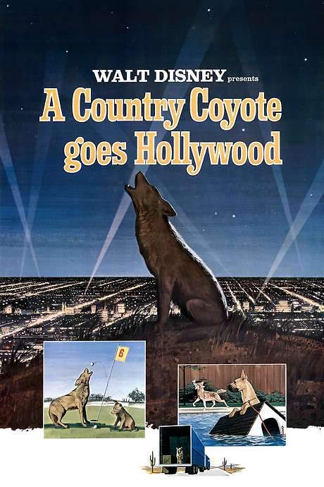 A Country Coyote Goes Hollywood (1965) movie poster