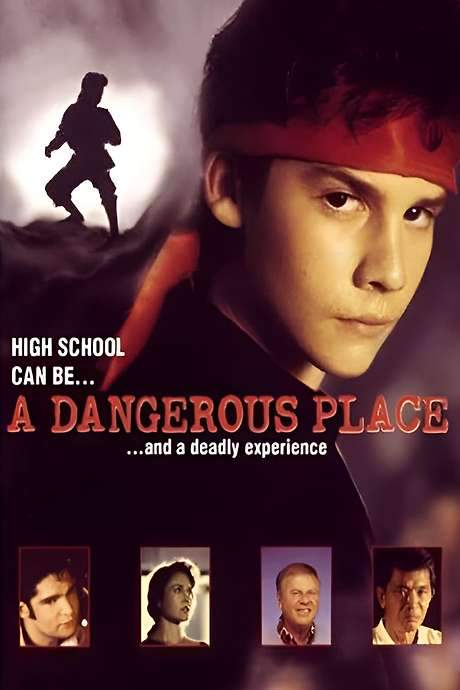 A Dangerous Place (1994) movie poster