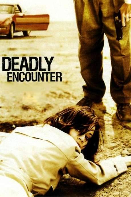 A Deadly Encounter (2004) movie poster