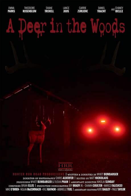 A Deer in the Woods (2022) movie poster