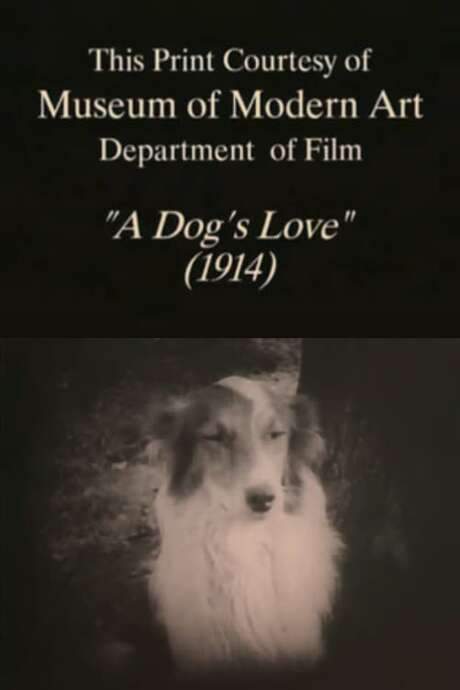A Dog’s Love (1914) movie poster