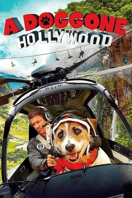 A Doggone Hollywood (2017) movie poster