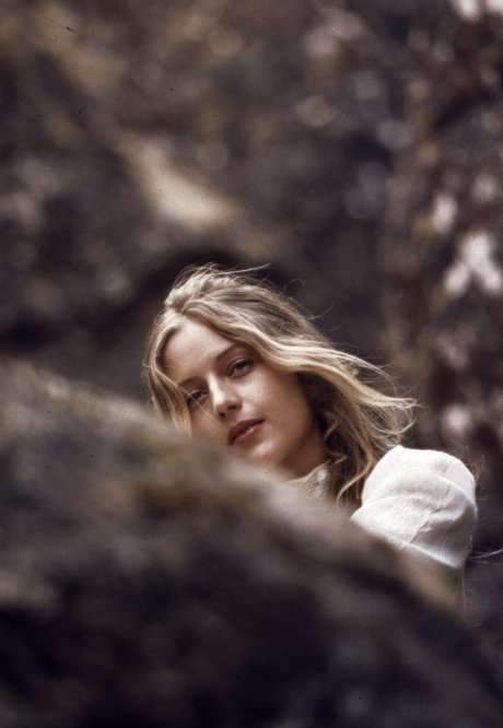 A Dream Within a Dream: The Making of ‘Picnic at Hanging Rock’ (2004) movie poster
