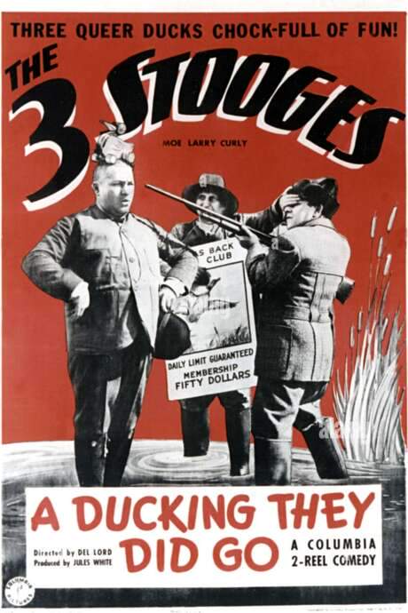 A Ducking They Did Go (1939) movie poster