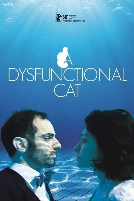 A Dysfunctional Cat (2018) movie poster