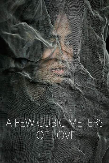 A Few Cubic Meters of Love (2014) movie poster