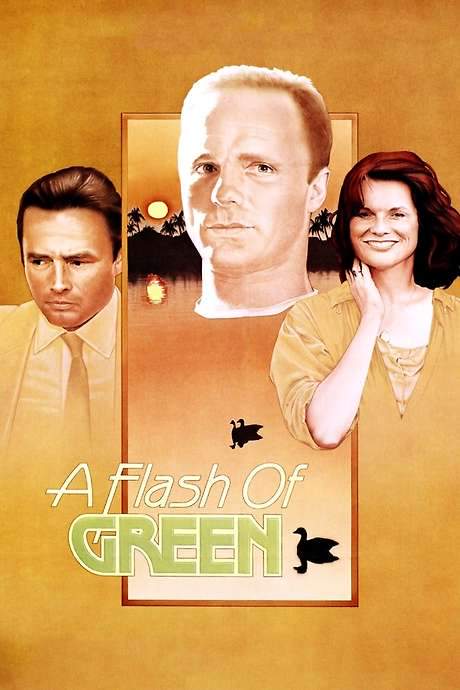A Flash of Green (1984) movie poster