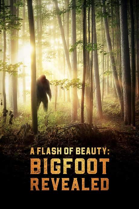 A Flash of Beauty: Bigfoot Revealed (2022) movie poster