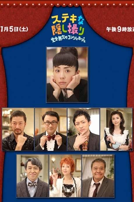A Flawless Concierge (2011) movie poster
