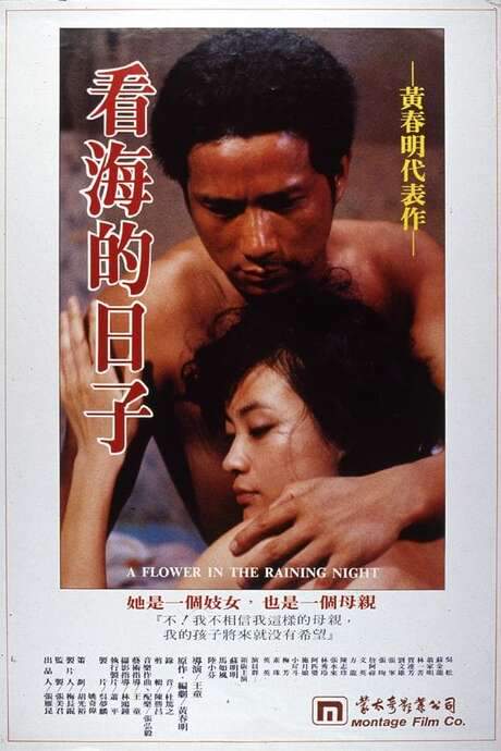 A Flower in the Rainy Night (1983) movie poster
