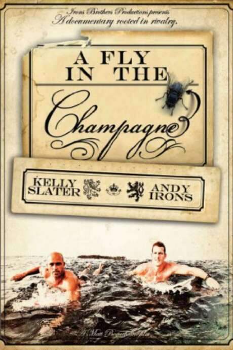 A Fly in the Champagne (2009) movie poster