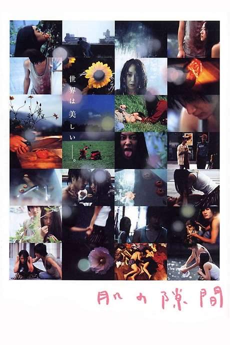 A Gap in the Skin (2005) movie poster