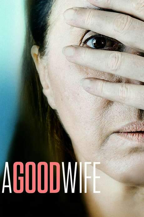A Good Wife (2016) movie poster