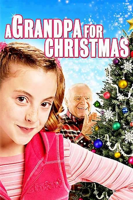 A Grandpa for Christmas (2007) movie poster