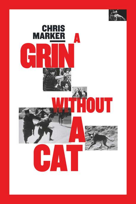 A Grin Without a Cat (1977) movie poster
