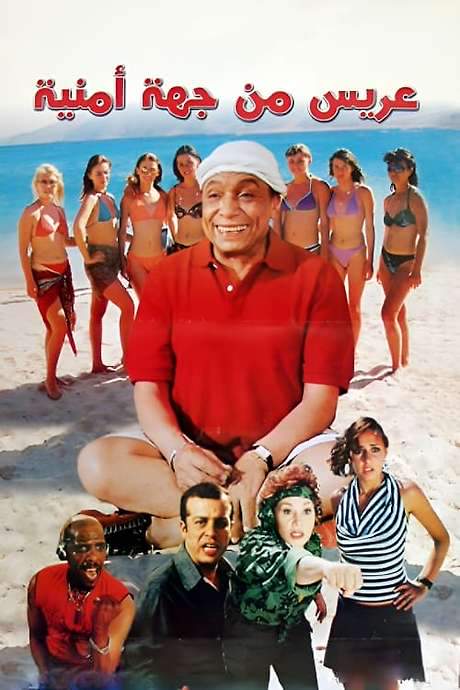A Groom from a Security Agency (2004) movie poster