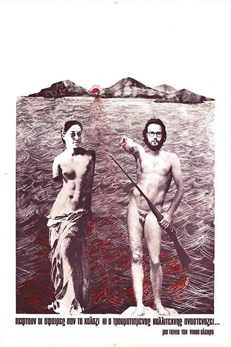 A Hail of Bullets (1977) movie poster