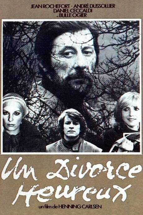 A Happy Divorce (1975) movie poster
