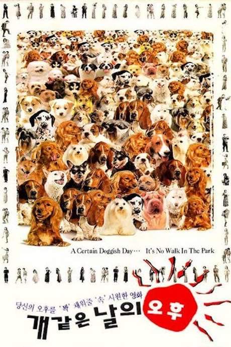 A Hot Roof (1995) movie poster