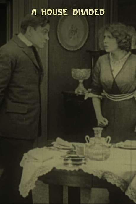 A House Divided (1913) movie poster