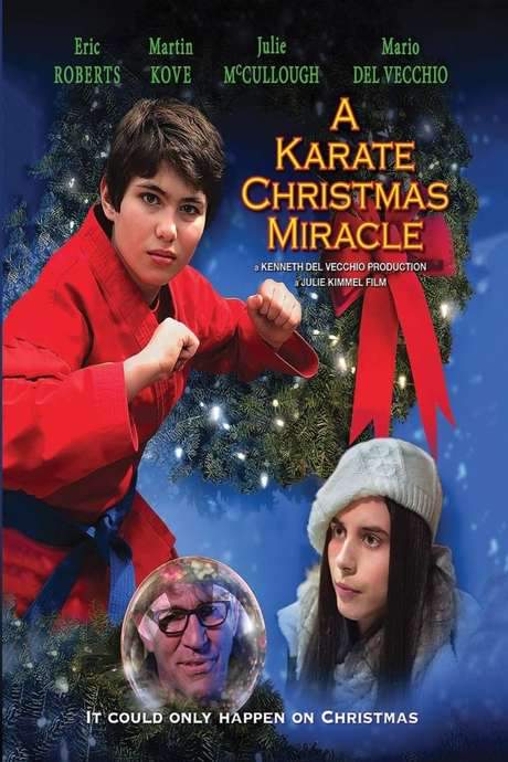 A Karate Christmas Miracle (2019) movie poster