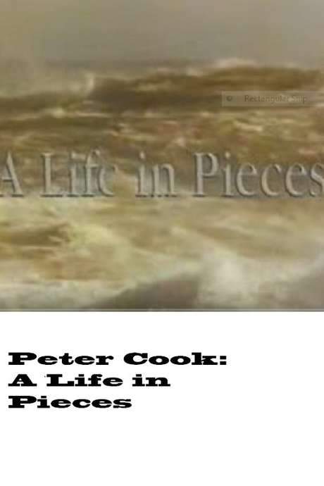 A Life in Pieces (1990) movie poster