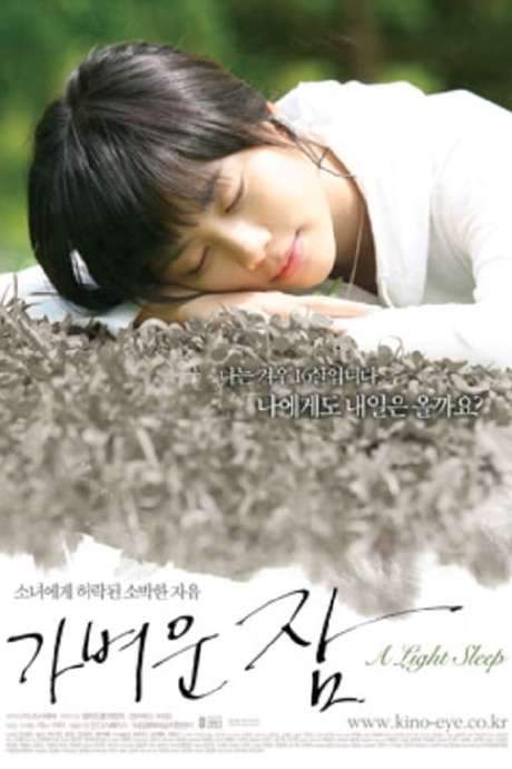 A Light Sleep (2008) movie poster