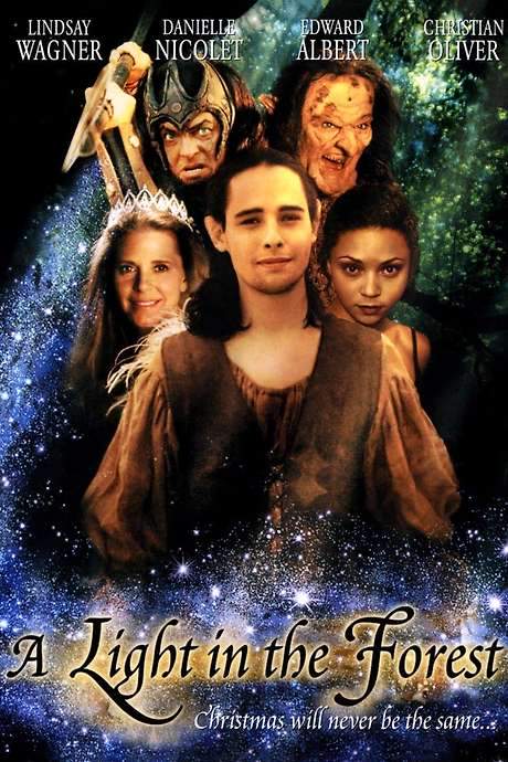 A Light in the Forest (2003) movie poster