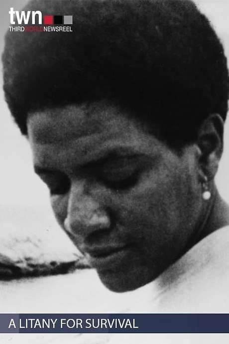 A Litany for Survival: The Life and Work of Audre Lorde (1995) movie poster