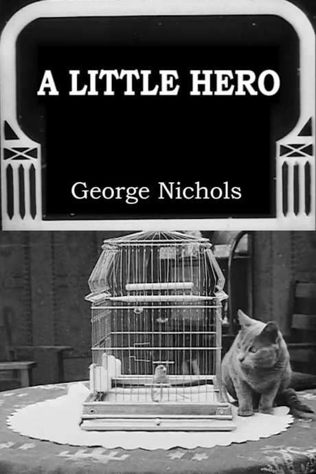 A Little Hero (1913) movie poster