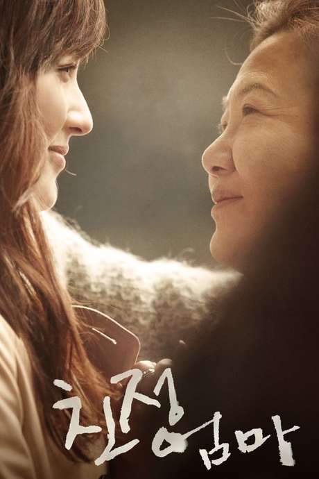 A Long Visit (2010) movie poster