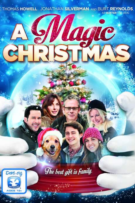 A Magic Christmas (2014) movie poster