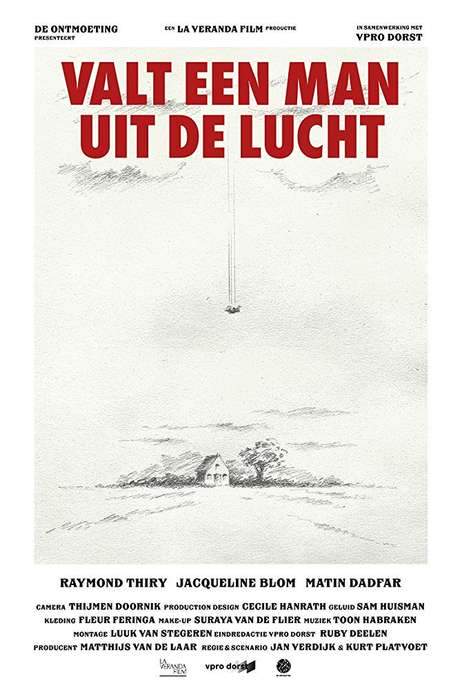 A Man Falls from the Sky (2017) movie poster
