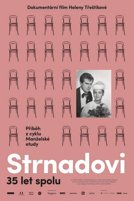 A Marriage Story (2017) movie poster