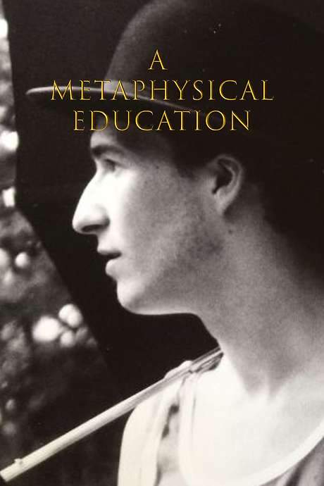 A Metaphysical Education (2004) movie poster