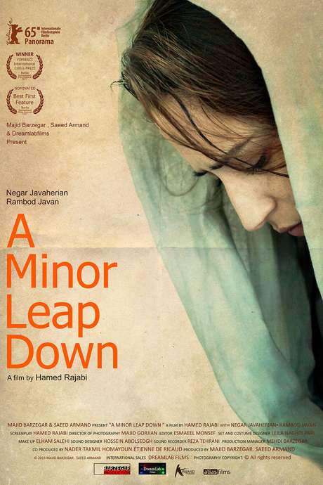 A Minor Leap Down (2015) movie poster